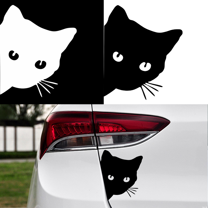 Car interior stickers black/wh - Laser Controller Board review and price