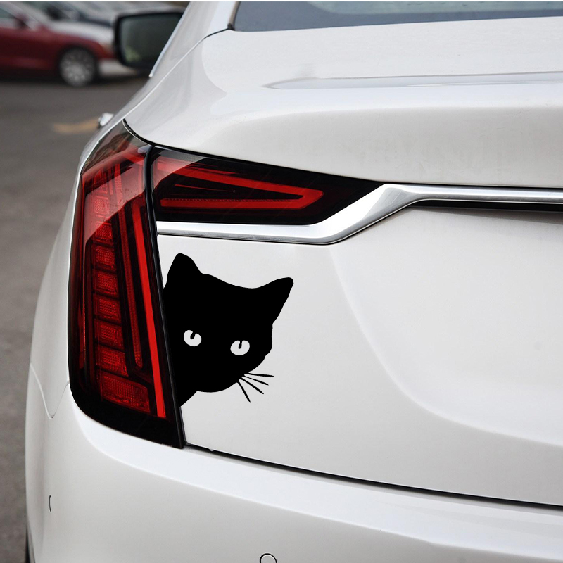 Car interior stickers black/wh - Laser Controller Board review and price